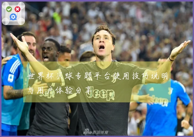 世界杯买球专题平台使用技巧说明与用户体验分享