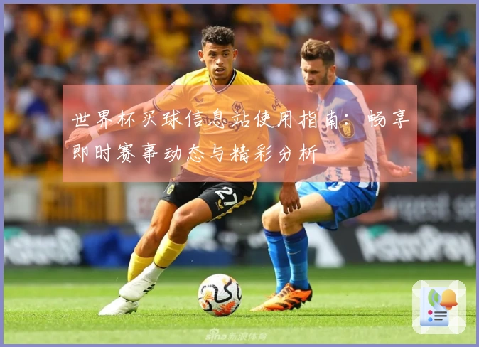 世界杯买球信息站使用指南：畅享即时赛事动态与精彩分析