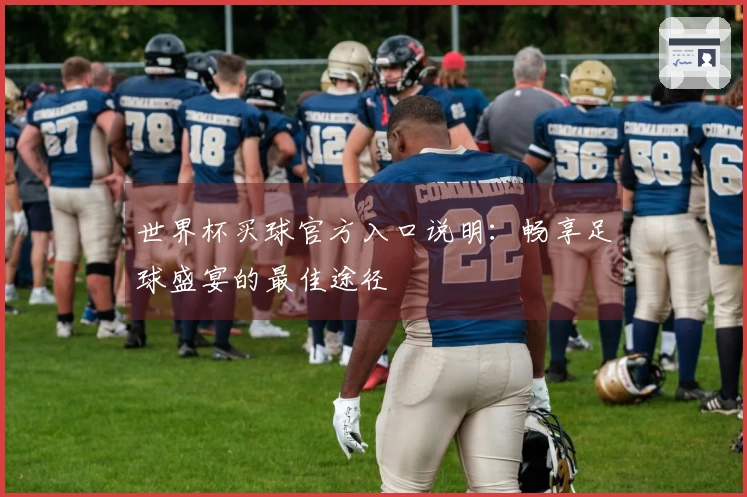 世界杯买球官方入口说明：畅享足球盛宴的最佳途径