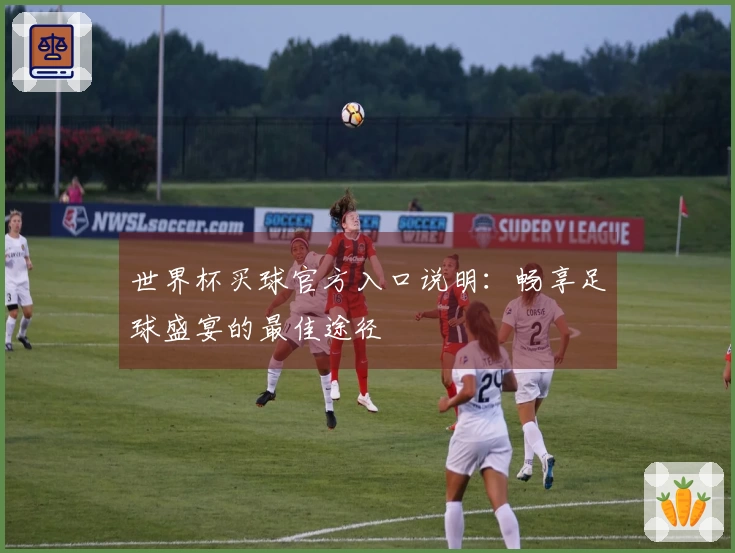 世界杯买球官方入口说明：畅享足球盛宴的最佳途径