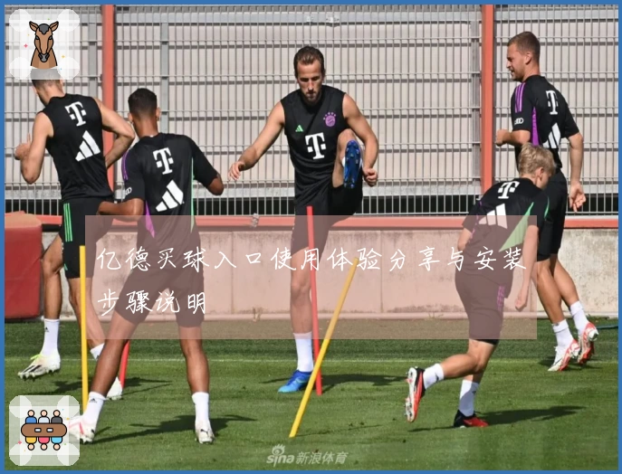 亿德买球入口使用体验分享与安装步骤说明