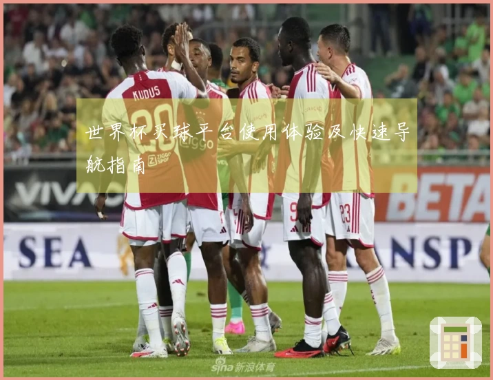 世界杯买球平台使用体验及快速导航指南