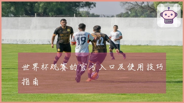 世界杯观赛的官方入口及使用技巧指南