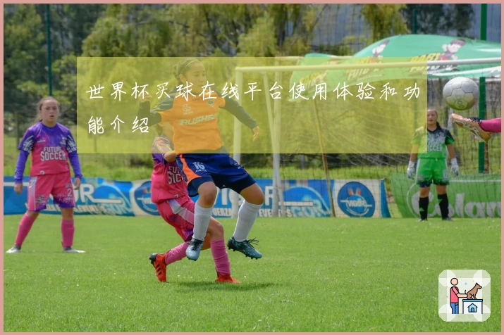 世界杯买球在线平台使用体验和功能介绍