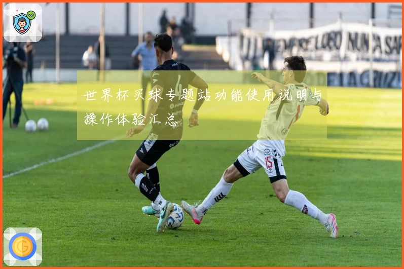 世界杯买球专题站功能使用说明与操作体验汇总
